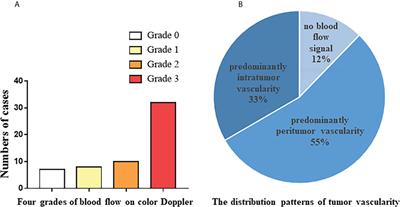 Clinical value of ultrasound for the evaluation of local recurrence of primary bone tumors